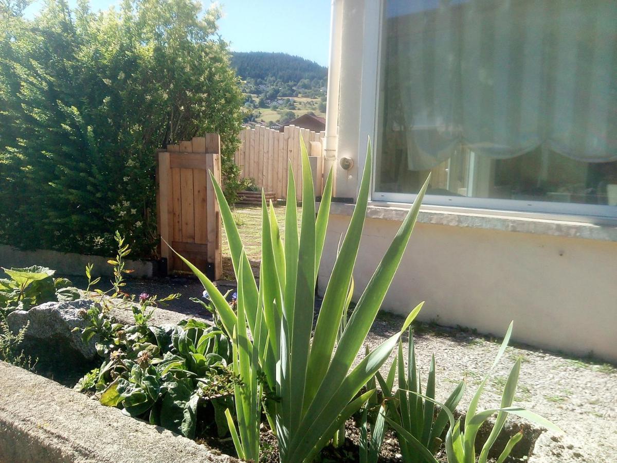 Gite De L'Allee Du Toit Vosgien Avec Terrasse Et Vue Sur La Montagne Gérardmer Exteriér fotografie